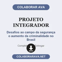 Projeto Integrador de Desafios ao campo da segurança o aumento da criminalidade no Brasil pronto para entregar