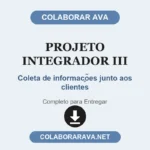PROJETO INTEGRADOR III - Coleta de informações junto aos clientes