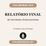 Relatório Final de Atividades Extensionistas